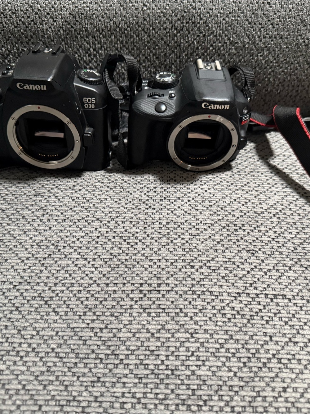 Canon EOS Digital Cameras